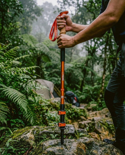 Hiking & Travel